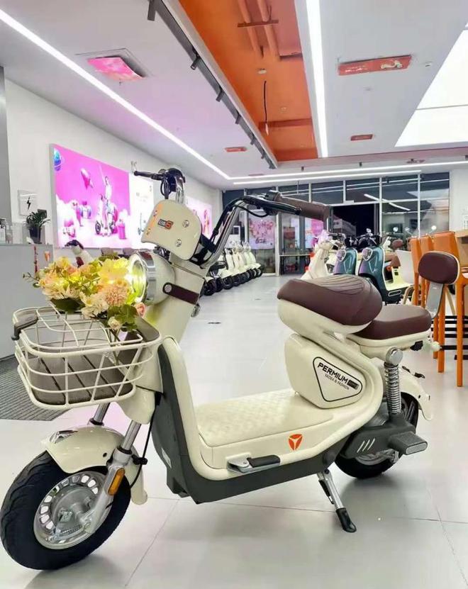 高端化战略受挫 两轮电动车“一哥”雅迪控股业绩踩“急刹车”